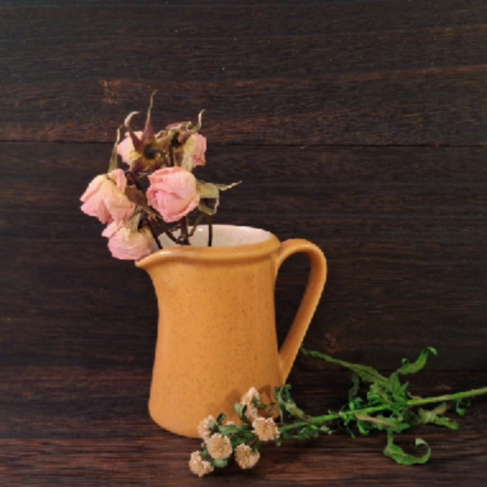 Rustic Orangw Pitcher